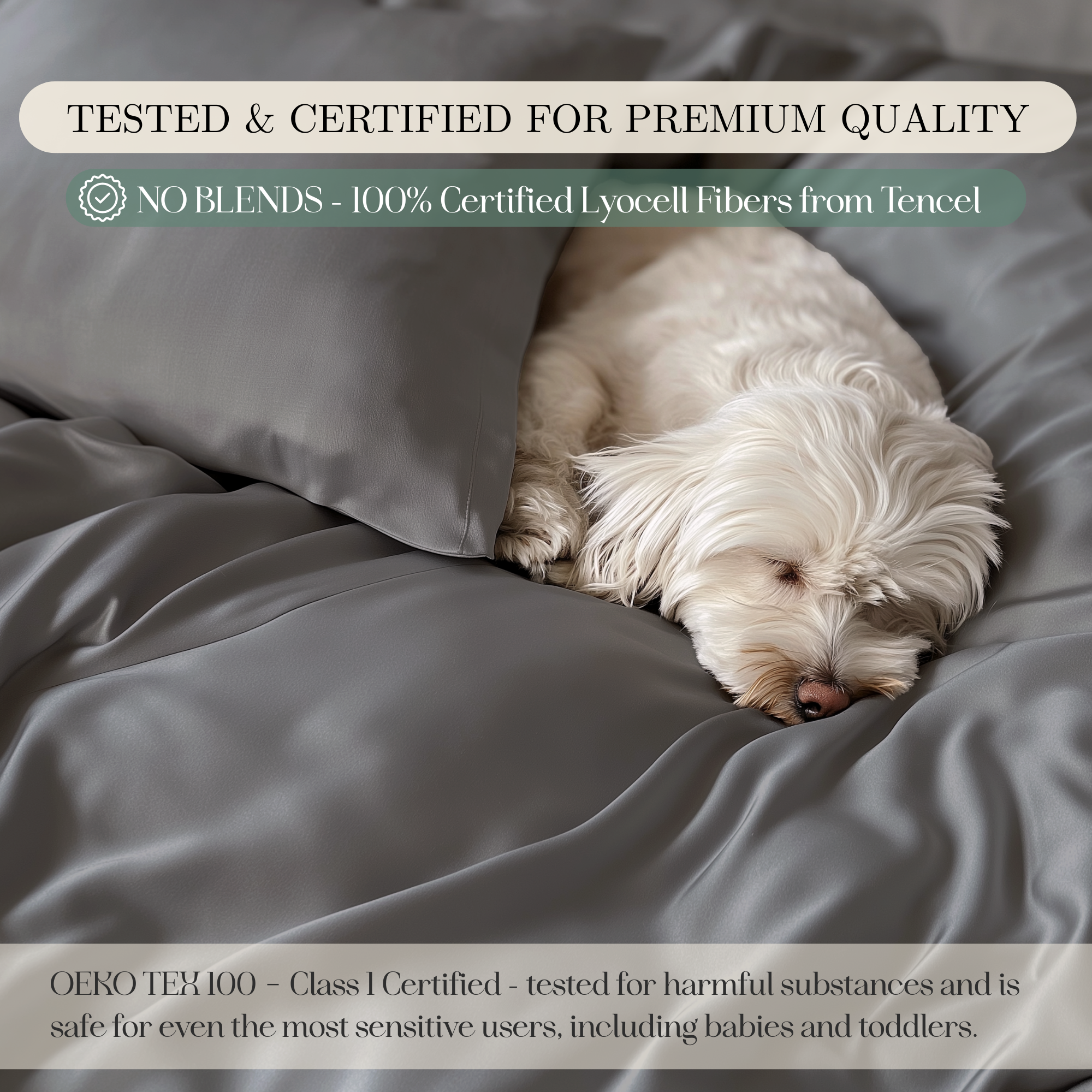 Tencel Lyocell Sheet Set