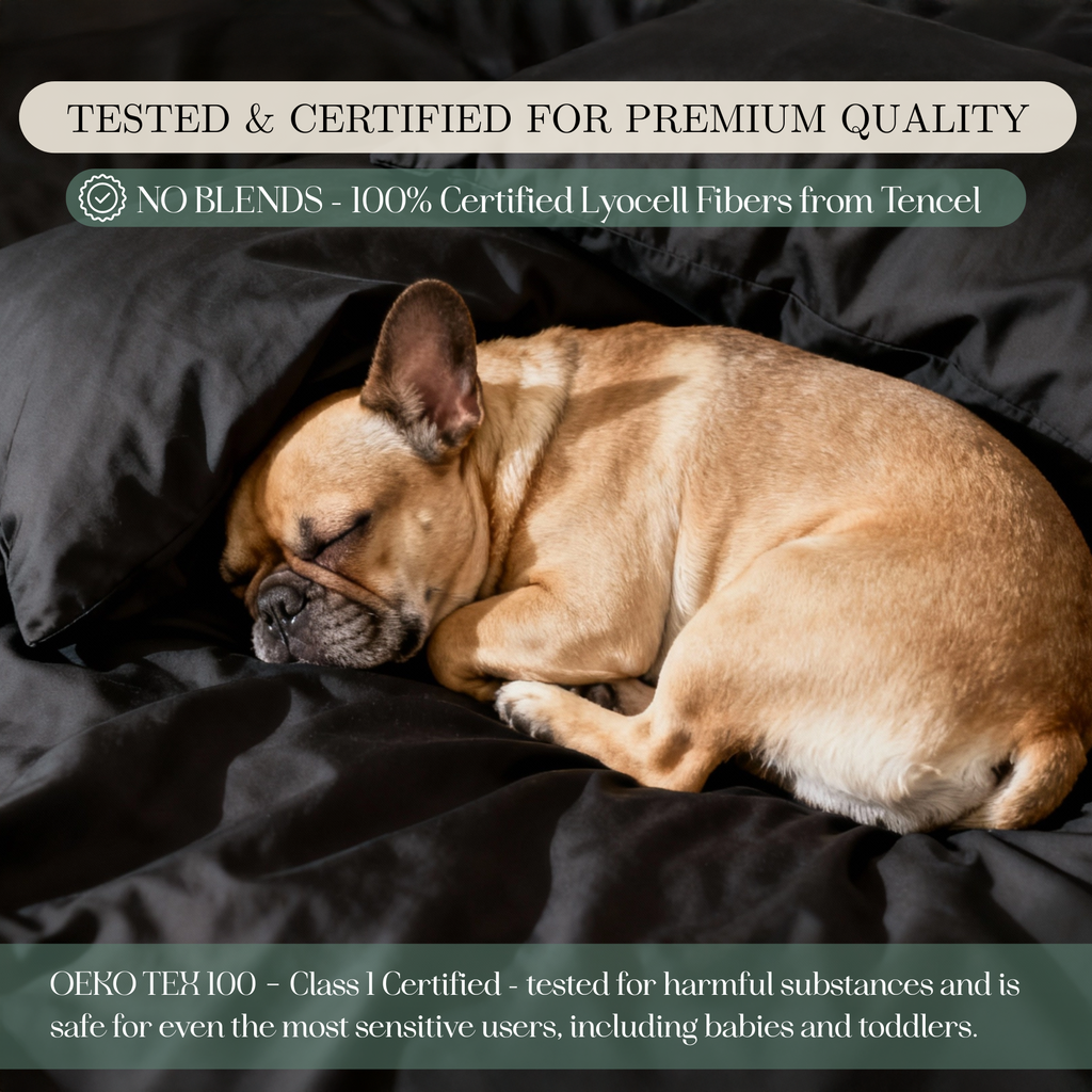 Tencel Lyocell Sheet Set