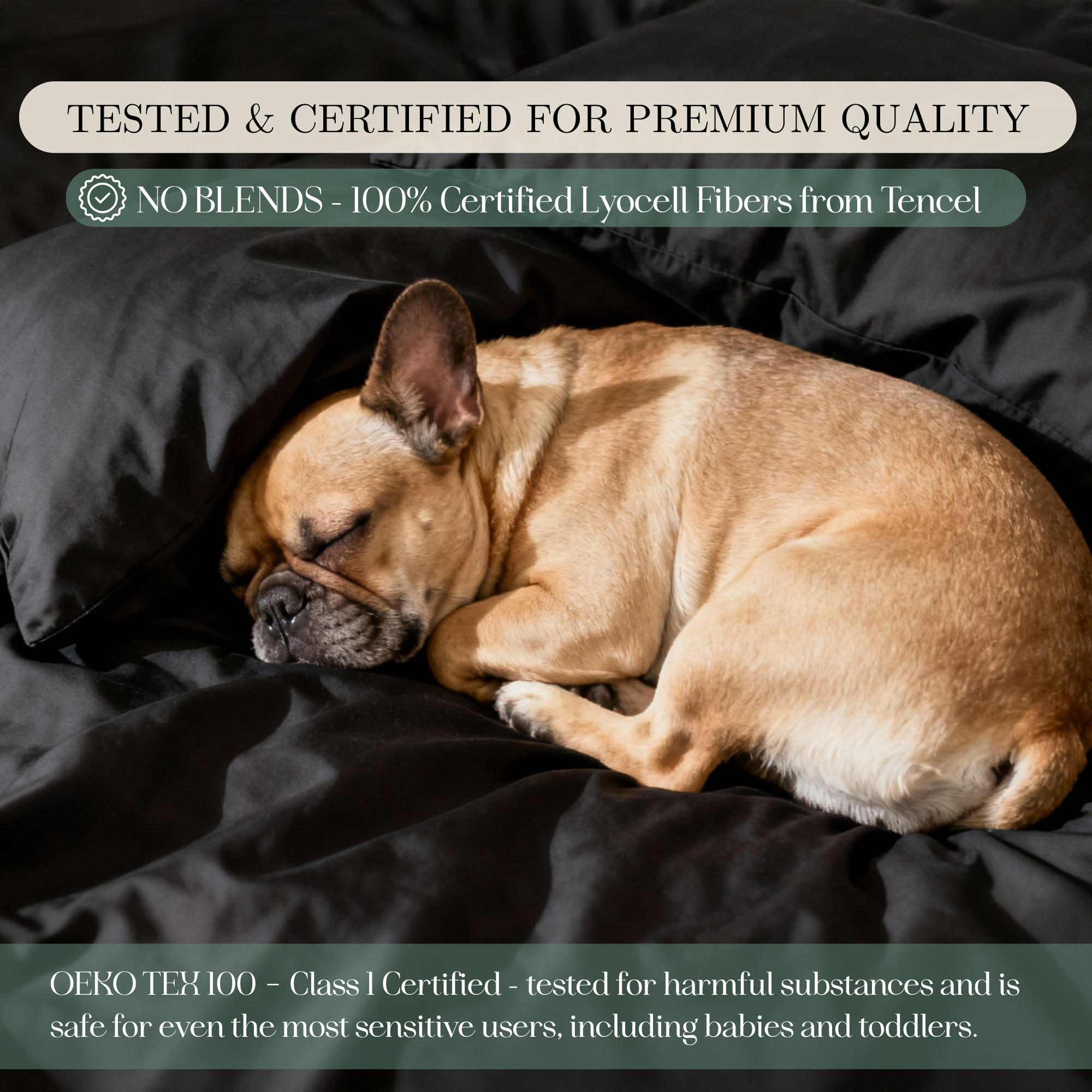 Tencel Lyocell Sheet Set