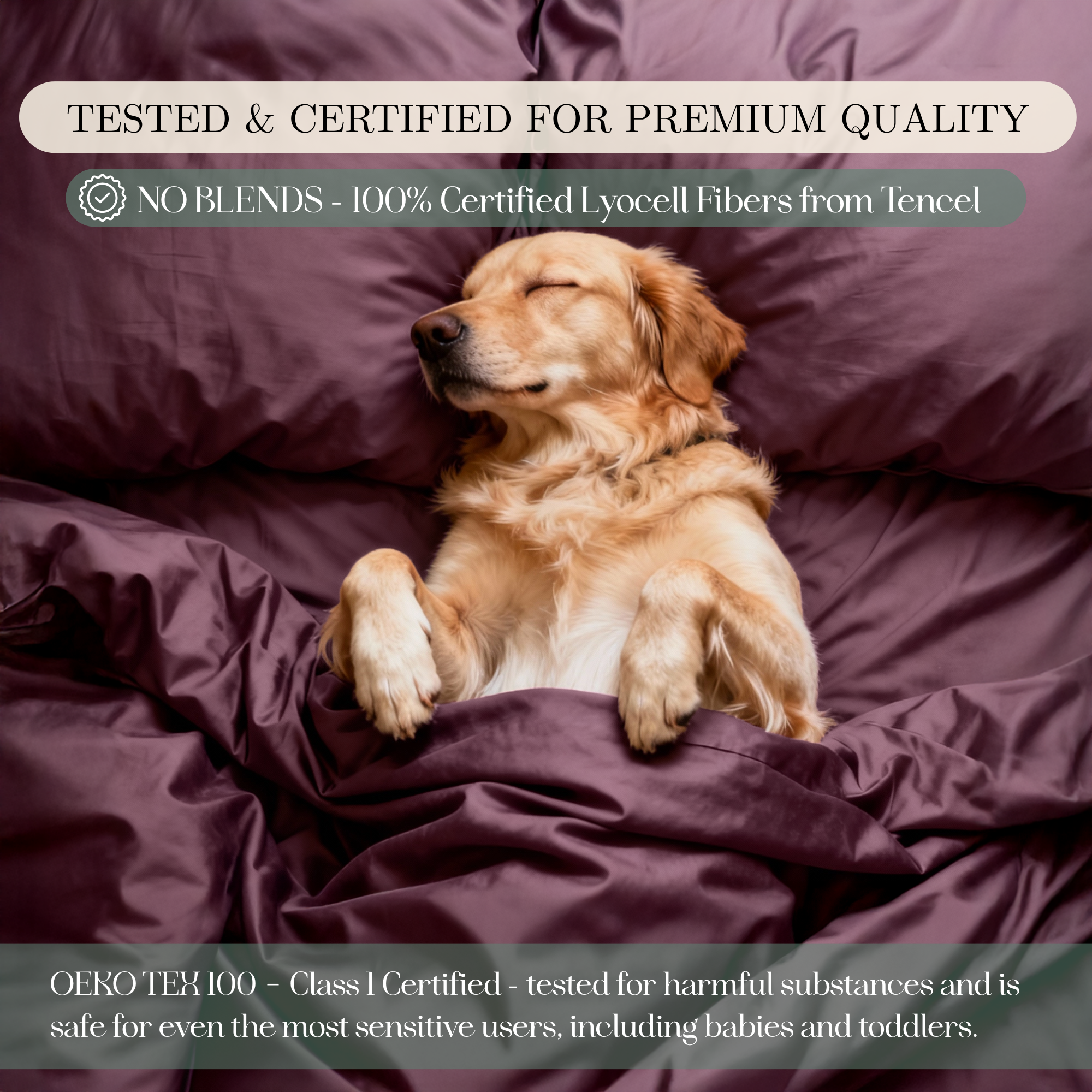 Tencel Lyocell Sheet Set