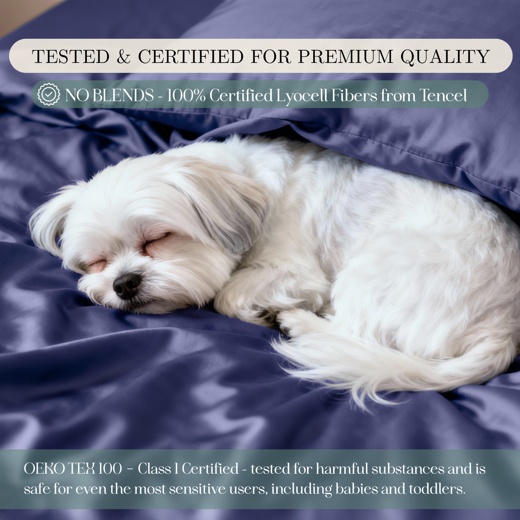 Tencel Lyocell Sheet Set