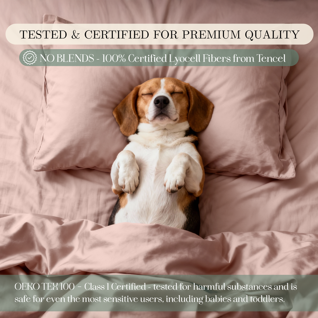 Tencel Lyocell Sheet Set