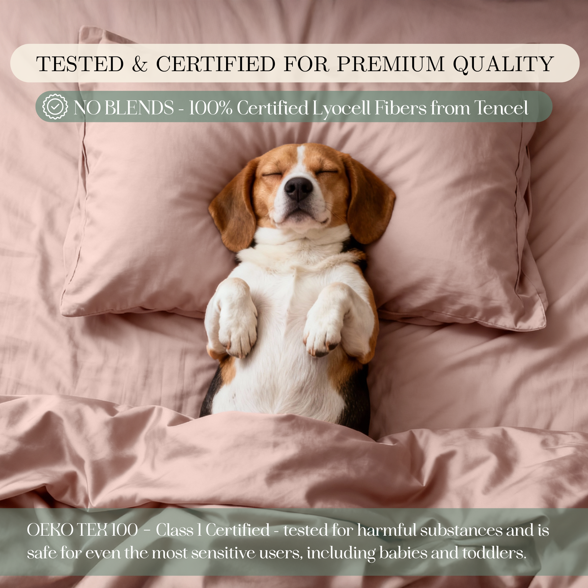 Tencel Lyocell Sheet Set